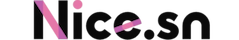 nice.sn Logo
